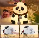 1000106308.webp