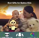 1000106312.webp
